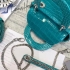 Dior Bag 028 croc skin